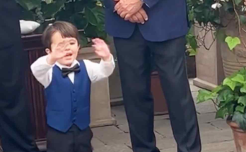 Toddler Steals the Spotlight at His Mom’s Wedding – realnewsz13